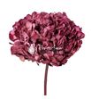 Hortensia preservada pink 10 - HYDPREPIN10