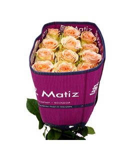 Rosa ecu country home 60 - RECOUHOM