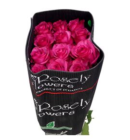 Rosa ecu lola 40 - RELOL