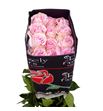 Rosa ecu pamela 50 - REPAM