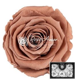 Rosa preservada choco 89 l 6 unid - ROSPRECHO689X