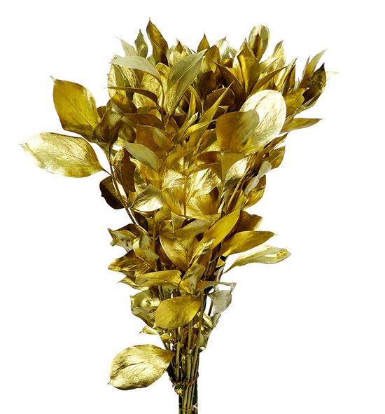 Ruscus oro 50 - RUSORO