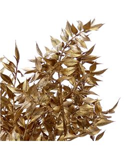 Ruscus fino antiq oro 70 x5t - RUSFINANTORO