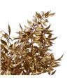 Ruscus fino antiq oro 70 x5t - RUSFINANTOROS1