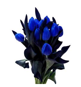 Tulipan tenido azul 40 - TULTENAZU