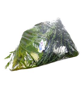 Conif. mixta bolsa - CONMIXBOL