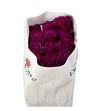 Rosa ecu ascot 40 - REASC