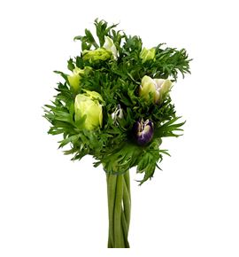 Anemona pastel 45 - ANEPAS