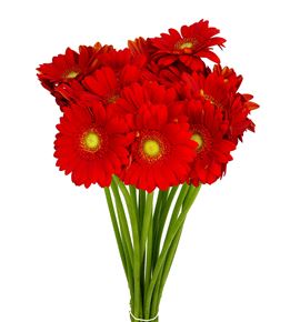 Gerb mini lipstick 50 - GERMLIP