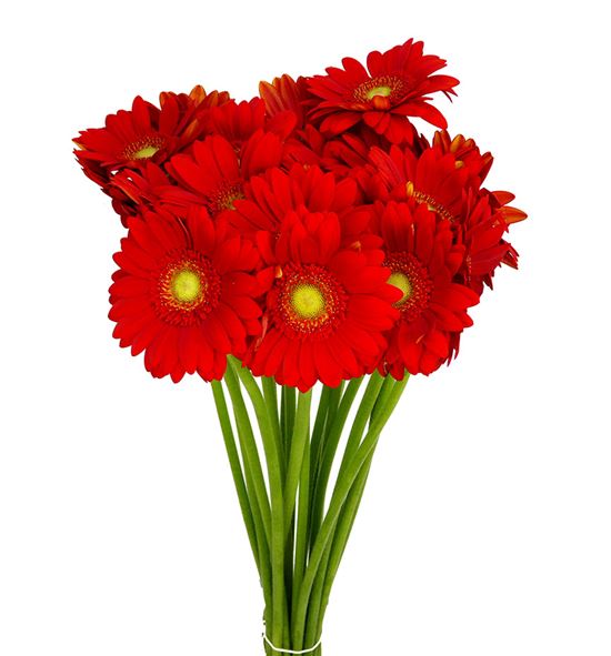 Gerb mini lipstick 50 - GERMLIP