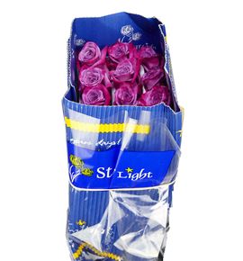 Rosa ecu modli blues 60 - RCMODBLU