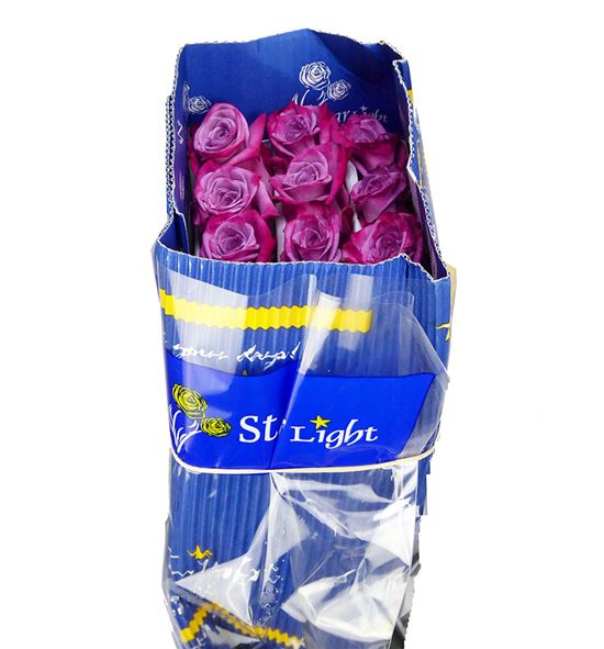 Rosa ecu modli blues 60 - RCMODBLU