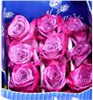 Rosa ecu modli blues 60 - RCMODBLU1