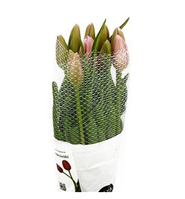 Tulipan swarovski xl 55 - TULSWAXL