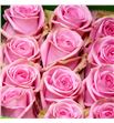 Rosa ecu sweet cake 50 - RESWECAK1