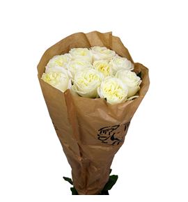 Rosa hol chic white 60 - RGRCHIWHI