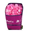 Rosa ecu boulevard 70 - REBOU
