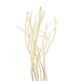 Mitsumata seco blanco 115 x3 - MITSECBLA
