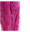 Cortaderia rosa 140 - CORROS1401