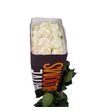 Rosa ecu vendela 70 - REVEN