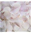 Hydr sweet verena 75 - HYDSWEVER1