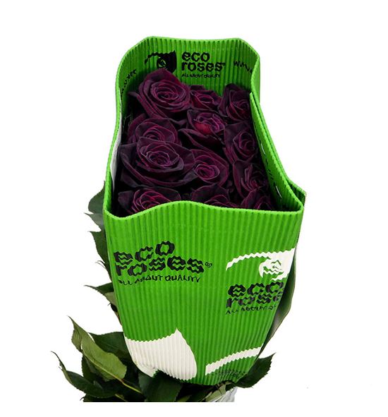 Rosa ecu black baccara 50 - REBLABAC