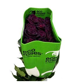 Rosa ecu black baccara 60 - REBLABAC