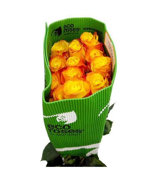 Rosa ecu summerligth 60 - RESUM