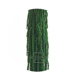 Amaranthus preservado verde ama/4104 - AMA4104-2-AMARANTHUS