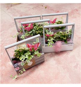 Pl. composicion planta interior 20cm x5 - COMPLAINT52515