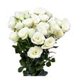 Rs ramificada blanca 60 - RTRBLAN60