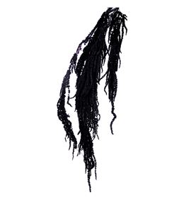 Amaranthus caudatus preservado negro - AMACAUPRENEG