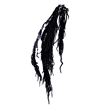 Amaranthus caudatus preservado negro - AMACAUPRENEG