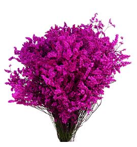 Limonium chino teñido fucsia - LIMCHITENFUC