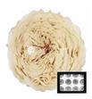 Rosa preservada amelia white 04 12 unid - ROSPREAMEWHI04