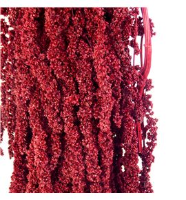 Amaranthus preservado granate - AMAPREGRA