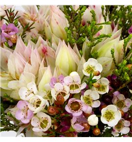 Bqt blushing bride wax 40cm - BQTBLUBRIMAX