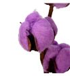 Algodon malva - ALGMAL1