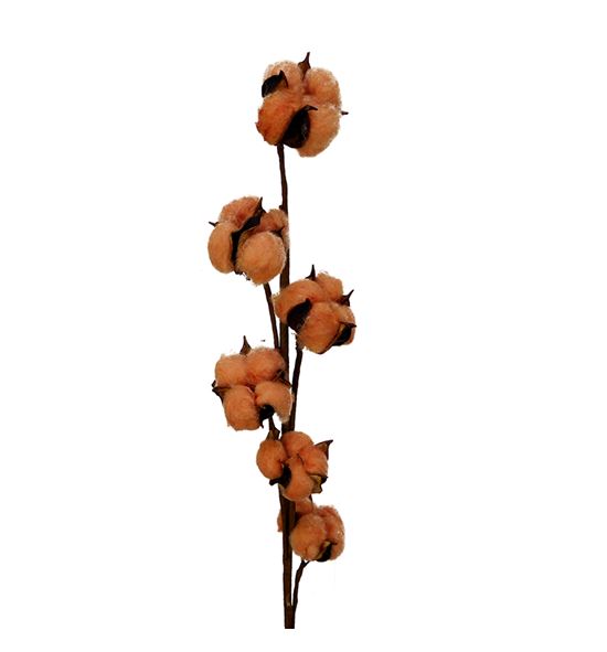 Algodon melocoton - ALGMEL