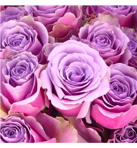 Rs ramificada purple sky 70 - RTRPURSKY