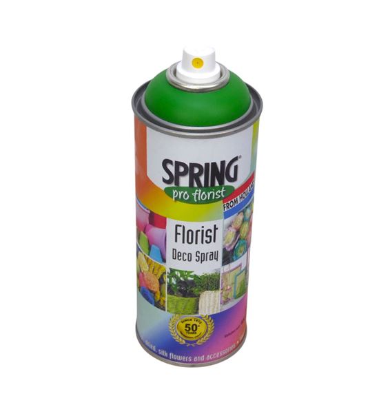 Spray de color para flor natural signal green 400ml - SPRSIGGRE