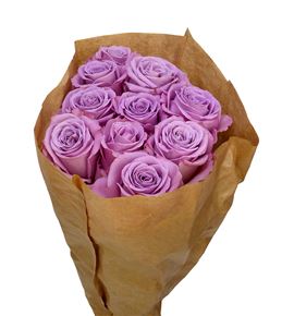 Rosa hol nayeli 50 - RGRNAY
