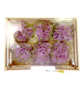 Hydrangea encerada rosa 6 und - HYDENCROS6