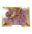 Hydrangea encerada rosa 6 und - HYDENCROS6
