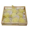 Paeonia encerada blanca 9 und - PAEENCBLA9
