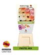 Gerbera mixto pastel 50 x15 - GERMIXPAS5015
