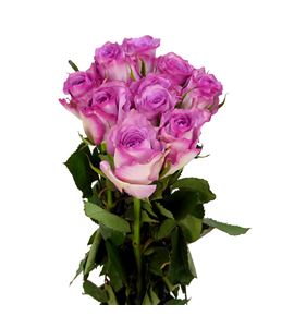 Rosa hol. thriller 40 - RGRTHR