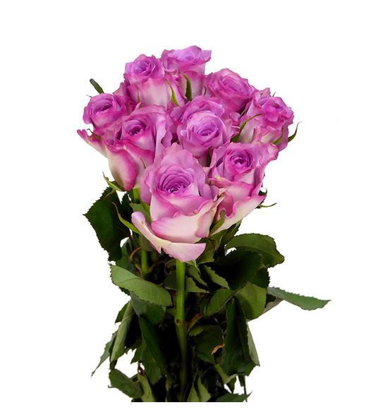 Rosa hol. thriller 40 - RGRTHR