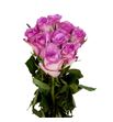 Rosa hol. thriller 40 - RGRTHR