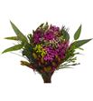 Bqt kaaps berzilia pink 45 - BQTKAABERPIN